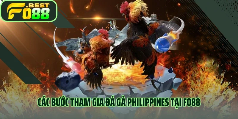 Các bước tham gia đá gà Philippines tại FO88