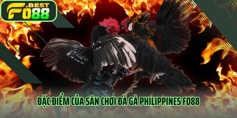 Đặc điểm của sân chơi đá gà Philippines FO88