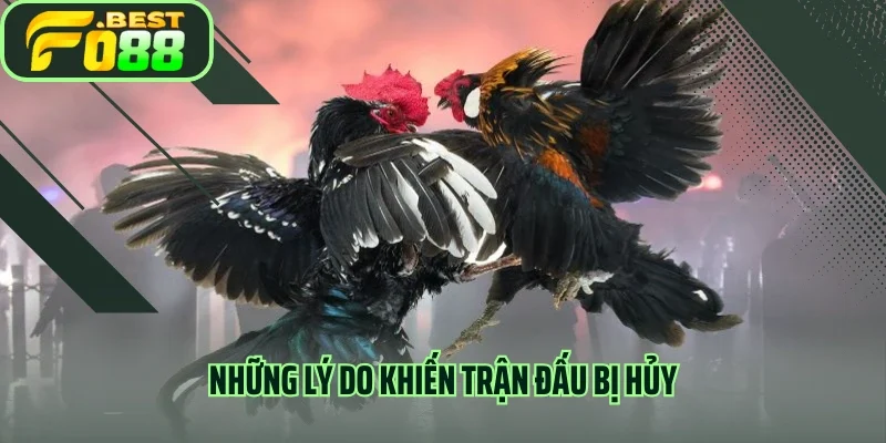Những lý do khiến trận đấu bị hủy